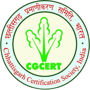 CGCERT Logo